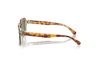 Seitenansicht Coach CL914 (HC8388U - 57563H)