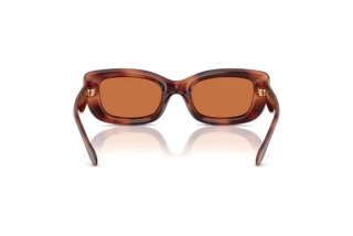 Rückansicht Coach CR610 (HC8390U - 577473)