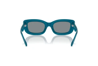 Rückansicht Coach CR610 (HC8390U - 580655)