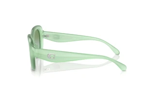 Seitenansicht Coach CR609 (HC8391U - 5807I7)