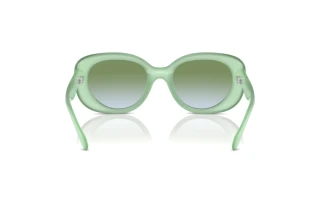 Rückansicht Coach CR609 (HC8391U - 5807I7)