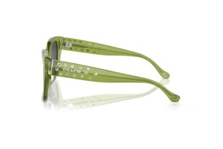 Seitenansicht Coach CR611 (HC8392U - 581087)