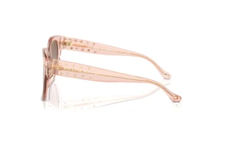 Seitenansicht Coach CR612 (HC8393U - 566814)