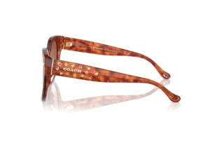 Seitenansicht Coach CR612 (HC8393U - 577413)