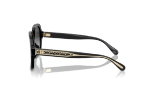 Seitenansicht Coach CR614 (HC8395U - 50023C)