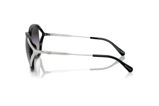 Seitenansicht Coach CR620 (HC8396U - 50028G)