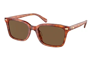 Coach HC8398U 577473 Brown SolidCaramel Tortoise