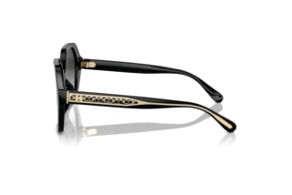 Seitenansicht Coach CR615 (HC8404U - 50023C)