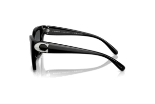 Seitenansicht Coach CW195 (HC8408U - 5002T3)