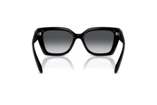 Rückansicht Coach CW195 (HC8408U - 5002T3)