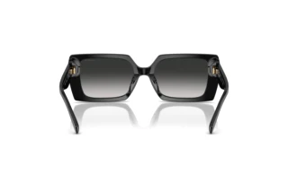 Rückansicht Coach CW224 (HC8409U - 50023C)