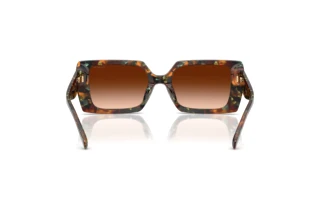 Rückansicht Coach CW224 (HC8409U - 584474)