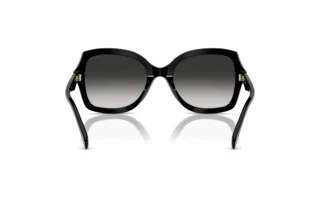 Rückansicht Coach CW225 (HC8410U - 50023C)