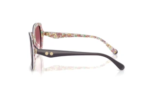 Seitenansicht Coach CW225 (HC8410U - 58957W)