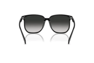 Rückansicht Coach CW419 (HC8413BD - 50023C)