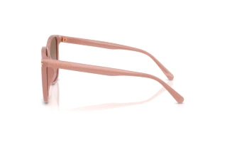 Seitenansicht Coach CW419 (HC8413BD - 583914)