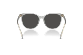 Rückansicht Coach CW428 (HC8414BD - 561487)