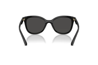 Rückansicht Coach CAD25 (HC8419U - 500287)