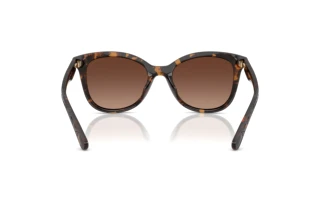 Rückansicht Coach CAD25 (HC8419U - 5120T5)