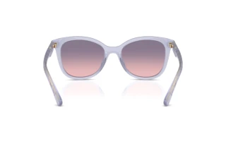 Rückansicht Coach CAD25 (HC8419U - 5873I6)