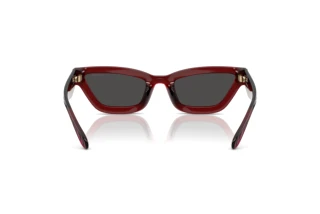 Rückansicht Coach CAD28 (HC8420U - 587487)