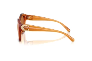 Seitenansicht Coach CAD31 (HC8421U - 564773)