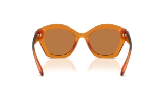 Rückansicht Coach CAD31 (HC8421U - 564773)