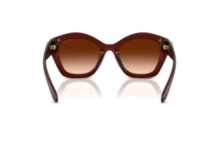 Rückansicht Coach CAD31 (HC8421U - 584174)