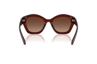 Rückansicht Coach CAD31 (HC8421U - 5841T5)