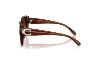 Seitenansicht Coach CAD33 (HC8422U - 584174)