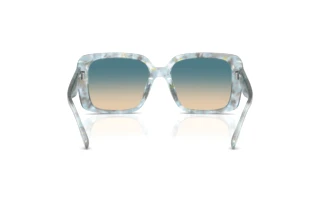 Rückansicht Coach CAD54 (HC8424U - 58664M)