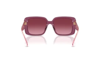 Rückansicht Coach CAD54 (HC8424U - 59548H)