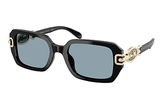 Coach CAD74 HC 8425U 500272