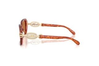 Seitenansicht Coach CAD74 (HC8425U - 577473)