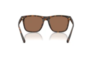 Rückansicht Coach CAE78 (HC8427U - 512073)