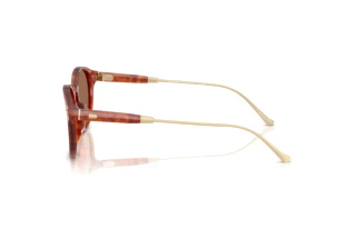 Seitenansicht Coach CAD83 (HC8428U - 577473)