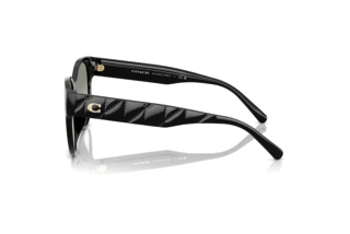 Seitenansicht Coach CAE87 (HC8430D - 50023C)