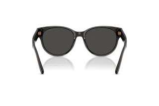 Rückansicht Coach CAE87 (HC8430D - 589787)