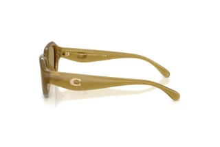 Seitenansicht Coach CBY77 (HC8433U - 590230)