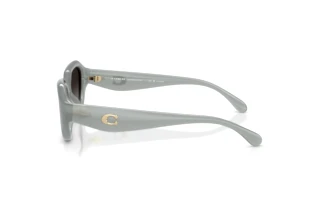 Seitenansicht Coach CBY77 (HC8433U - 5905T3)