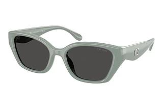 Coach HC8434U 592487 Grey SolidIndustrial Grey