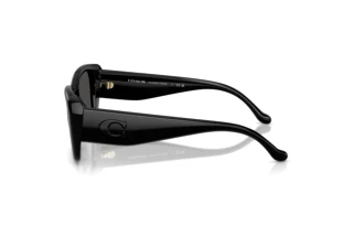 Seitenansicht Coach CBY82 (HC8435U - 500287)