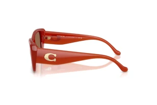 Seitenansicht Coach CBY82 (HC8435U - 591673)