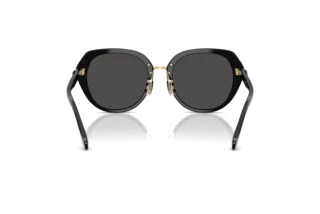 Rückansicht Coach CBY93 (HC8436 - 500287)