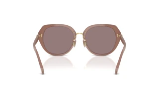 Rückansicht Coach CBY93 (HC8436 - 54957N)