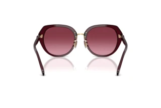 Rückansicht Coach CBY93 (HC8436 - 59158H)