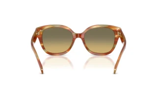 Rückansicht Coach CBY94 (HC8438U - 5898L0)