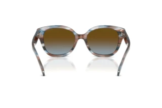 Rückansicht Coach CBY94 (HC8438U - 589913)