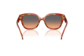 Rückansicht Coach CBY94 (HC8438U - 590018)