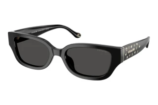 Vorderansicht Coach CBZ52 (HC8439U - 500287)